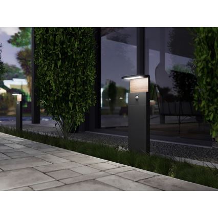 LED Vanjska lampa s senzorom NATURA LED/12W/230V 4000K IP54 smeđa/antracit