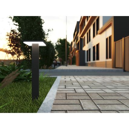 LED Vanjska lampa sa senzorom BARI LED/10W/230V 4000K 60 cm IP54 antracit