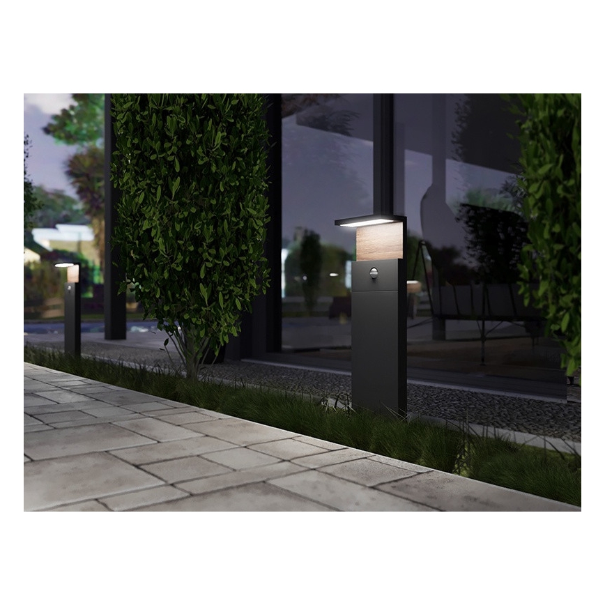 LED Vanjska lampa sa senzorom NATURA LED/12W/230V 4000K IP54 smeđa/antracit