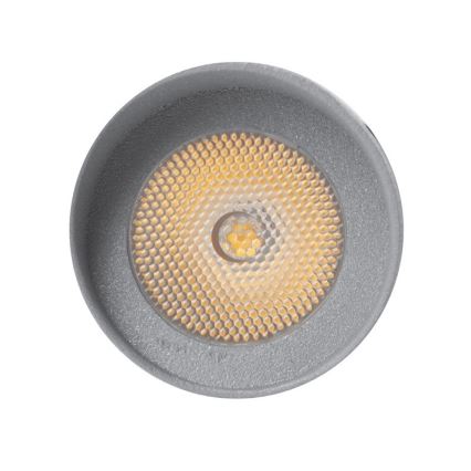 LED vanjska rasvjeta OKO LED/1W/350mA IP54