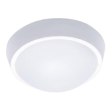 LED Vanjska stropna svjetiljka 1xLED/30W/230V  IP65