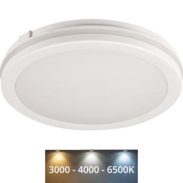 LED Vanjska stropna svjetiljka BENO ECO LED/20W/230V 3000/4000/6500K pr. 20 cm IP65 bijela