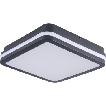 LED Vanjska stropna svjetiljka BENO LED/24/30W/230V 3000/3500/4000K IP65 antracit uglast