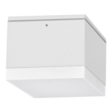 LED Vanjska stropna svjetiljka BRUNO LED/10W/230V IP54