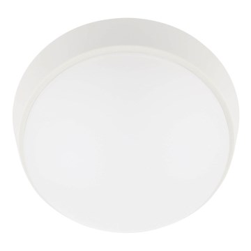 LED Vanjska stropna svjetiljka LED/12W/230V 3000/4000/6500K IP65 bijela