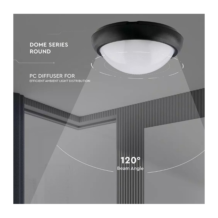 LED Vanjska stropna svjetiljka LED/12W/230V IP54