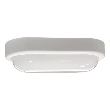 LED Vanjska stropna svjetiljka LED/15W/230V 4200K 20x9,8 cm IP64 bijela