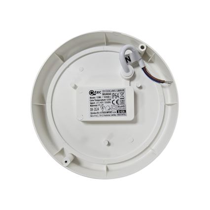 LED Vanjska stropna svjetiljka LED/15W/230V 4200K pr. 15,5 cm IP64 bijela