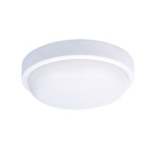 LED Vanjska stropna svjetiljka LED/20W/230V IP54