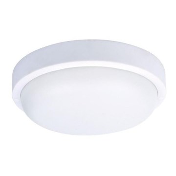 LED Vanjska stropna svjetiljka LED/20W/230V IP54