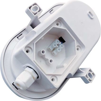LED Vanjska stropna svjetiljka LED/6W/230V 4000K IP54 bijela