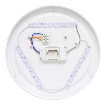 LED Vanjska stropna svjetiljka NELA LED/20W/230V IP44