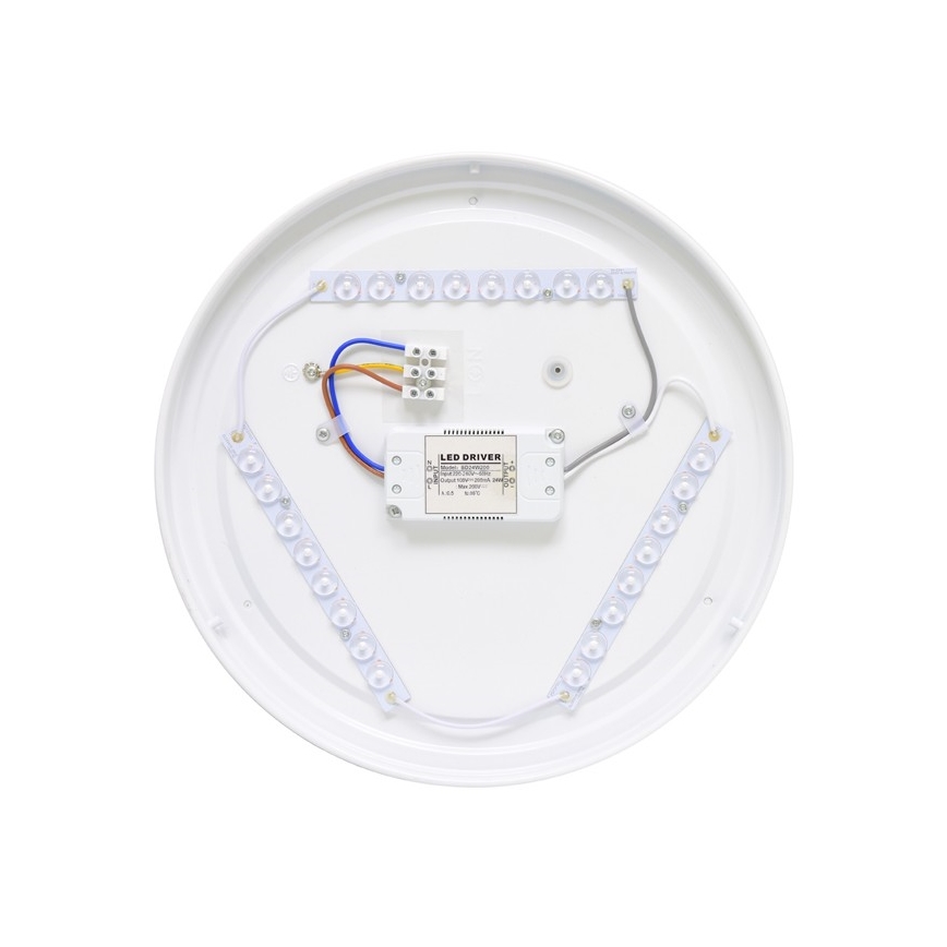 LED Vanjska stropna svjetiljka NELA LED/20W/230V IP44