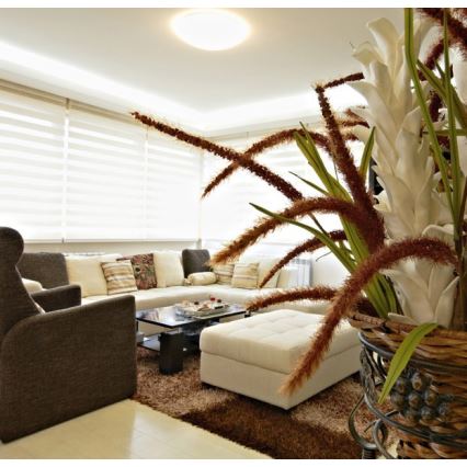 LED Vanjska stropna svjetiljka NELA LED/32W/230V IP44