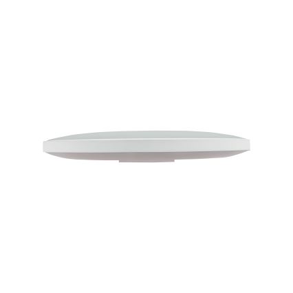 LED Vanjska stropna svjetiljka NYMPHEA LED/32W/230V IP54 3000K