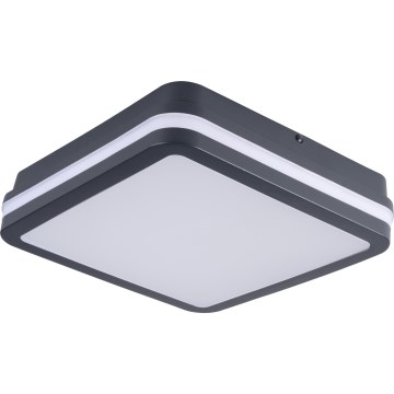 LED Vanjska stropna svjetiljka sa senzorom pokreta BENO LED/12/18W/230V 3000/3500/4000K IP65 antracit uglast