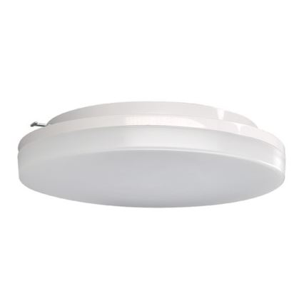 LED Vanjska stropna svjetlijka LED/15W/230V IP54