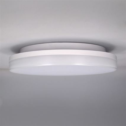 LED Vanjska stropna svjetlijka LED/15W/230V IP54