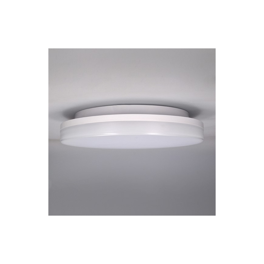 LED Vanjska stropna svjetlijka LED/15W/230V IP54