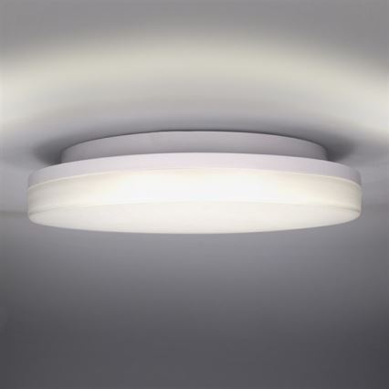 LED Vanjska stropna svjetlijka LED/15W/230V IP54