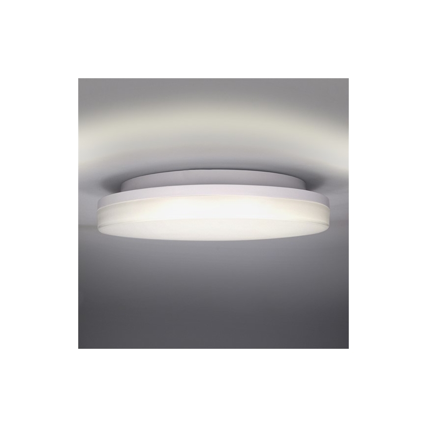 LED Vanjska stropna svjetlijka LED/15W/230V IP54