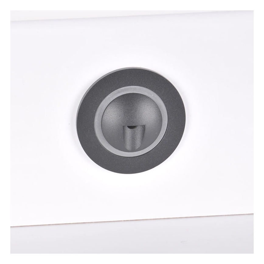 LED Vanjska stubišna svjetiljka Q2 LED/3W/230V IP44