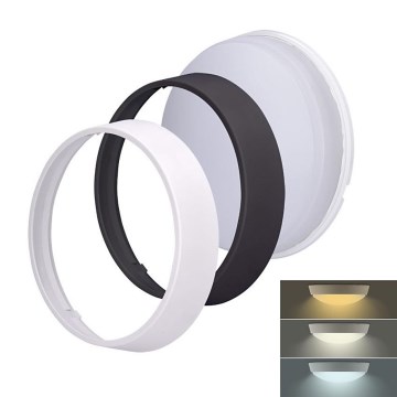 LED Vanjska svjetiljka 2u1 LED/18W/230V IP54