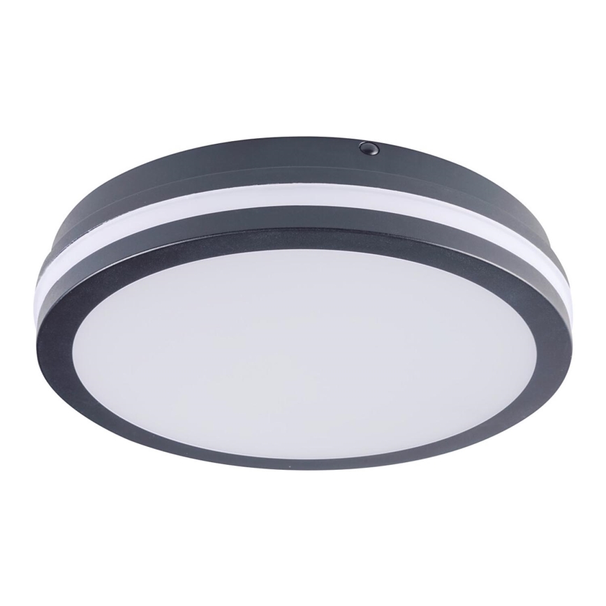 LED Vanjska svjetiljka BENO LED/24W/230V 4000K antracit IP54