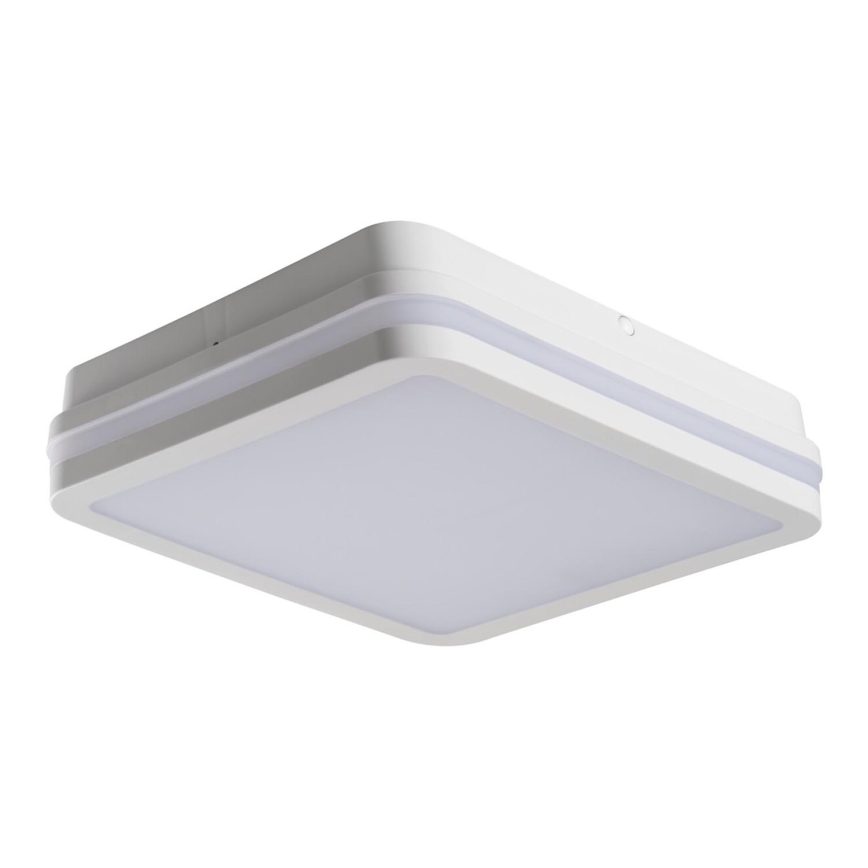 LED Vanjska svjetiljka BENO LED/24W/230V 4000K bijela IP54