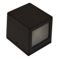 LED Vanjska zidna svjetiljka 2xLED/5W/230V 4000K IP54 crna