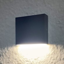 LED Vanjska zidna svjetiljka CHICAGO LED/3,5W/230V IP44 crna