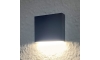 LED Vanjska zidna svjetiljka CHICAGO LED/3,5W/230V IP44 crna