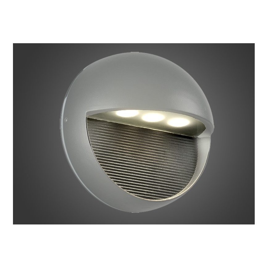 LED Vanjska zidna svjetiljka CIOLLA LED/3W/230V IP54