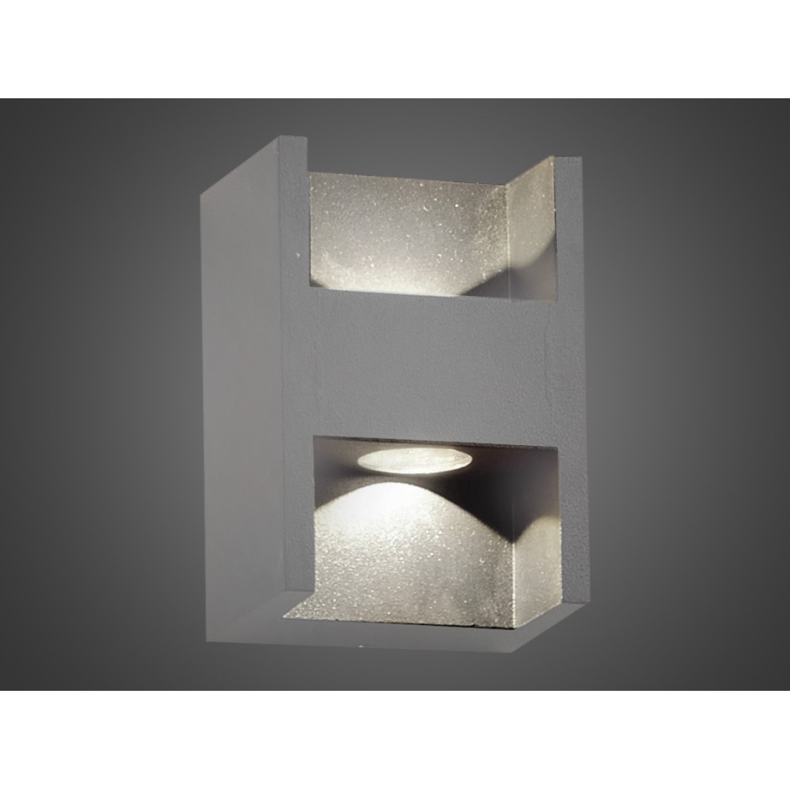 LED Vanjska zidna svjetiljka CISSA 2xLED/2W/230V IP54