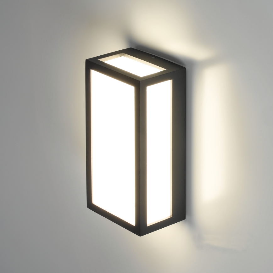 LED Vanjska zidna svjetiljka ENTERA LED/10W/230V 4000K IP54