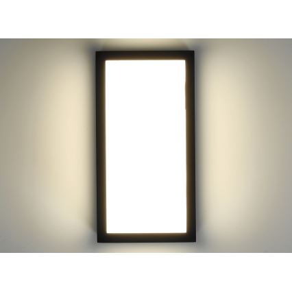LED Vanjska zidna svjetiljka ENTERA LED/10W/230V 4000K IP54
