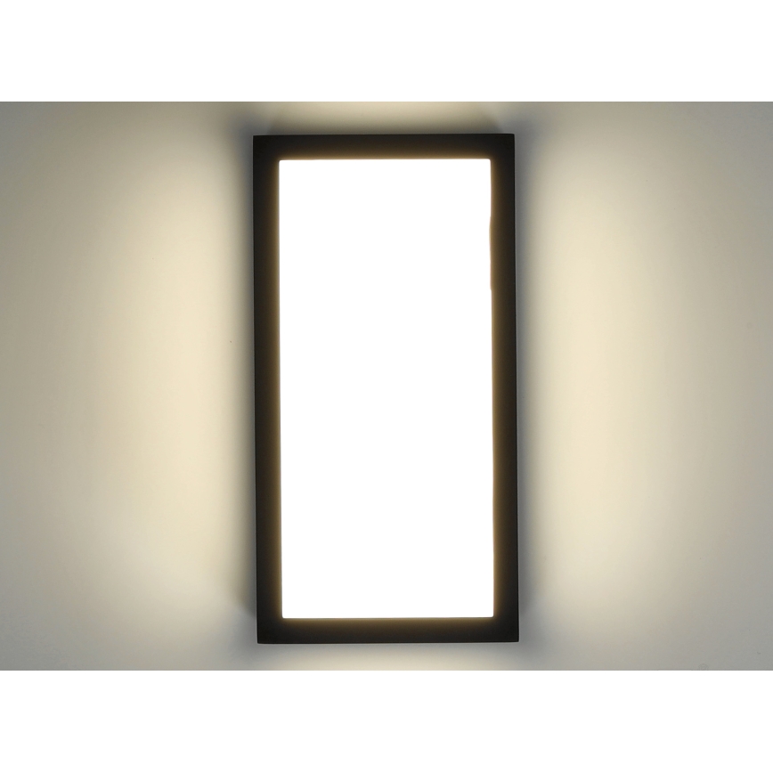 LED Vanjska zidna svjetiljka ENTERA LED/10W/230V 4000K IP54