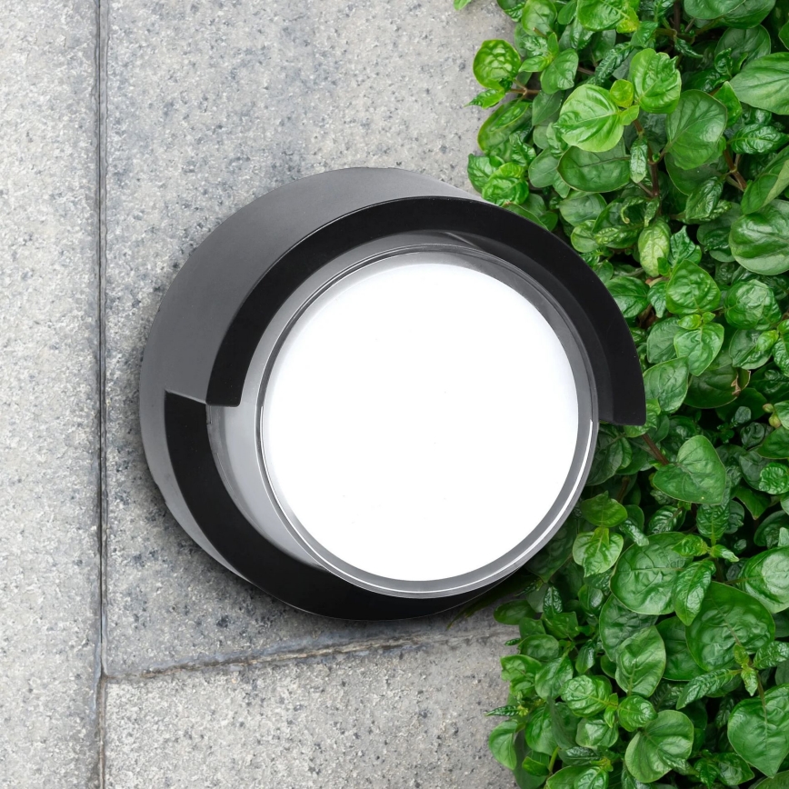 LED Vanjska zidna svjetiljka ESSEN LED/10W/230V IP44 crna