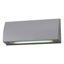 LED Vanjska zidna svjetiljka LED/10W/230V IP54