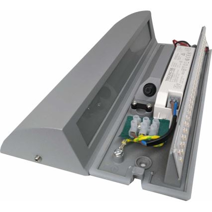 LED Vanjska zidna svjetiljka LED/10W/230V IP54