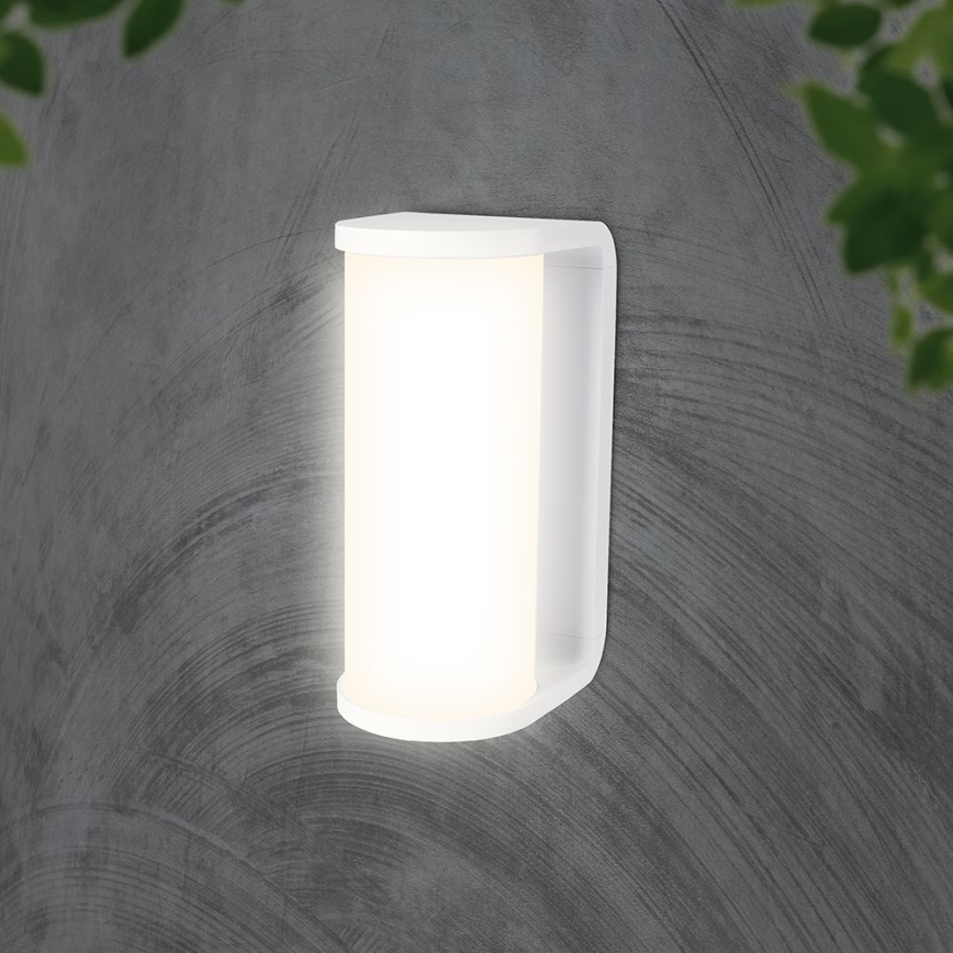 LED Vanjska zidna svjetiljka LED/12W/230V 3000/4200/6500K IP65 bijela