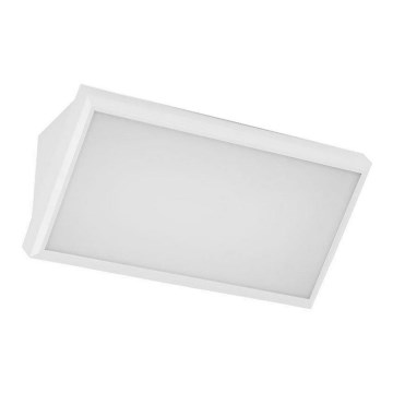 LED Vanjska zidna svjetiljka LED/12W/230V 4000K IP65 bijela