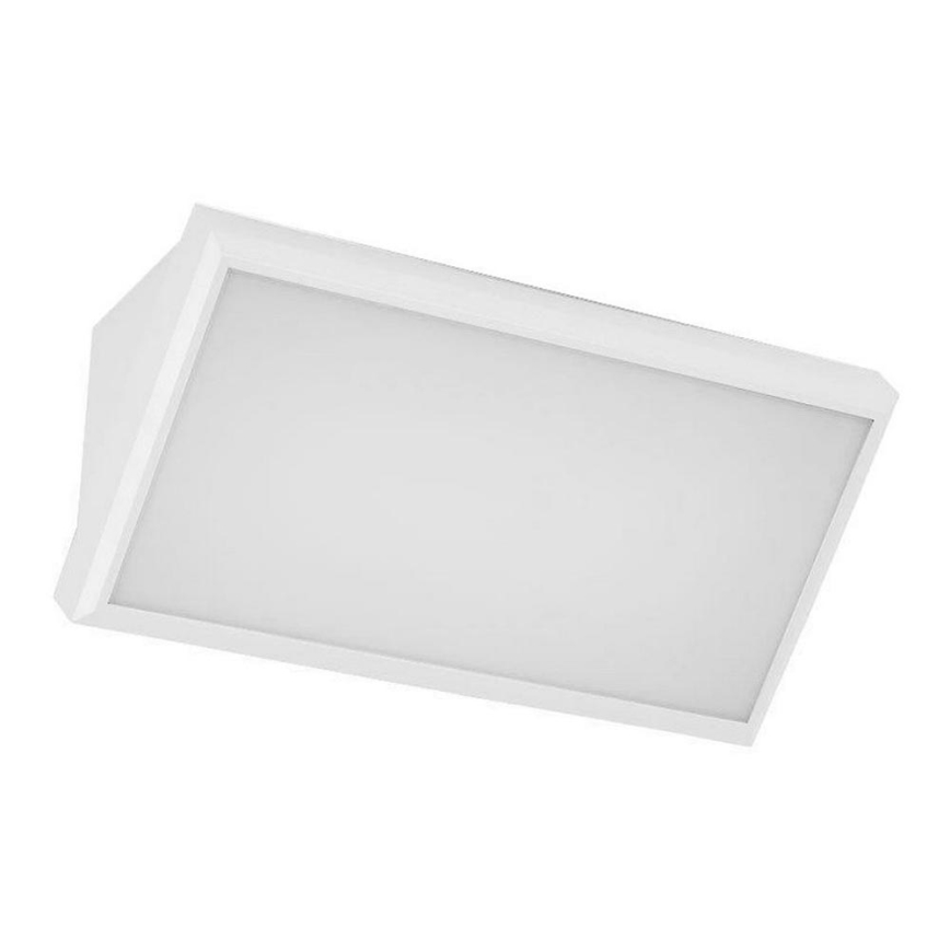 LED Vanjska zidna svjetiljka LED/12W/230V 4000K IP65 bijela