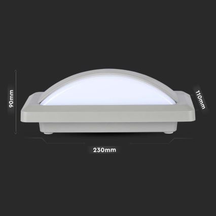 LED Vanjska zidna svjetiljka LED/12W/230V 6400K IP65