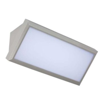 LED Vanjska zidna svjetiljka LED/12W/230V 6400K IP65