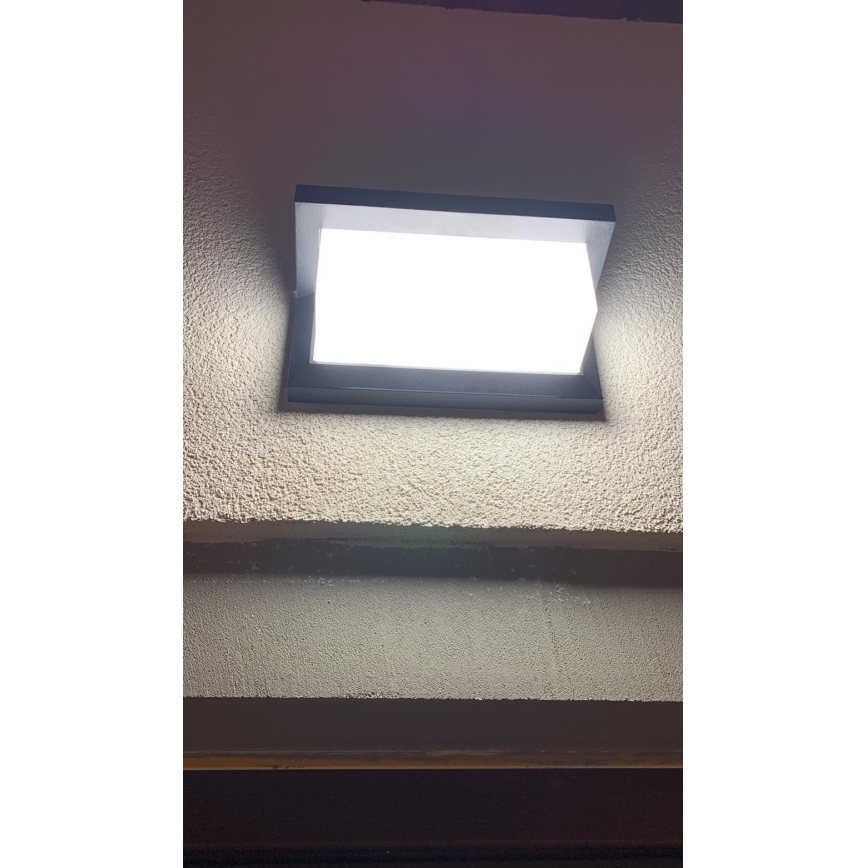 LED Vanjska zidna svjetiljka LED/12W/230V IP54 crna