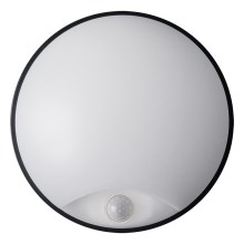LED Vanjska zidna svjetiljka LED/14W/230V IP54