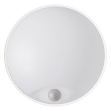 LED Vanjska zidna svjetiljka LED/14W/230V IP54