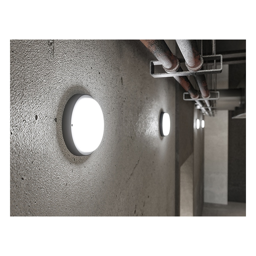 LED vanjska zidna svjetiljka LED/18W/230V IP54 crna