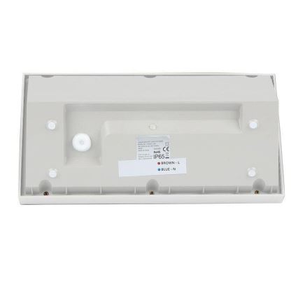 LED Vanjska zidna svjetiljka LED/20W/230V 6400K IP65 bijela